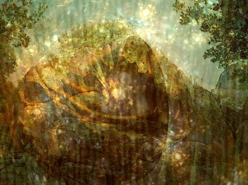 Korweinguboora, la machoire du monde