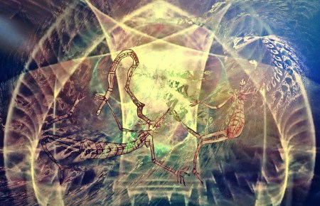 Myndie et les esprits Namaroto