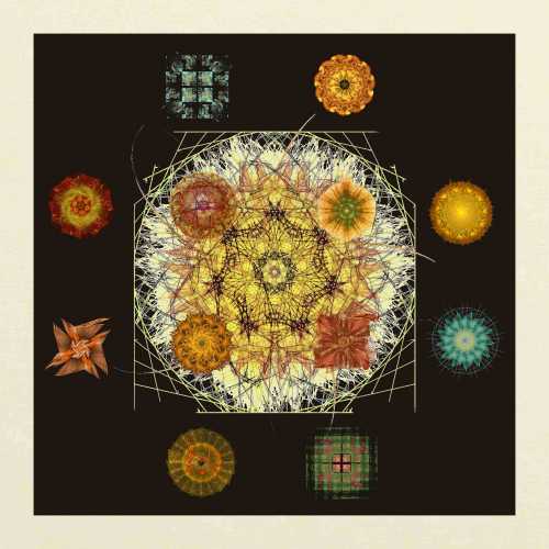 Pour toi ma cherie 2