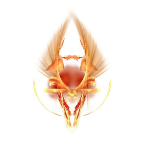 1-orchidee-frissonnant-sous-laverse