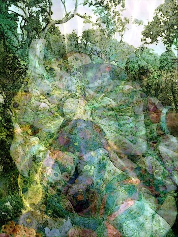 4-tournoyer-comme-icare