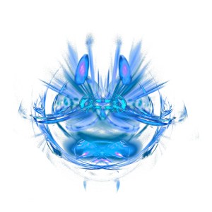 6-eucalyptus-invisibles-aux-regards